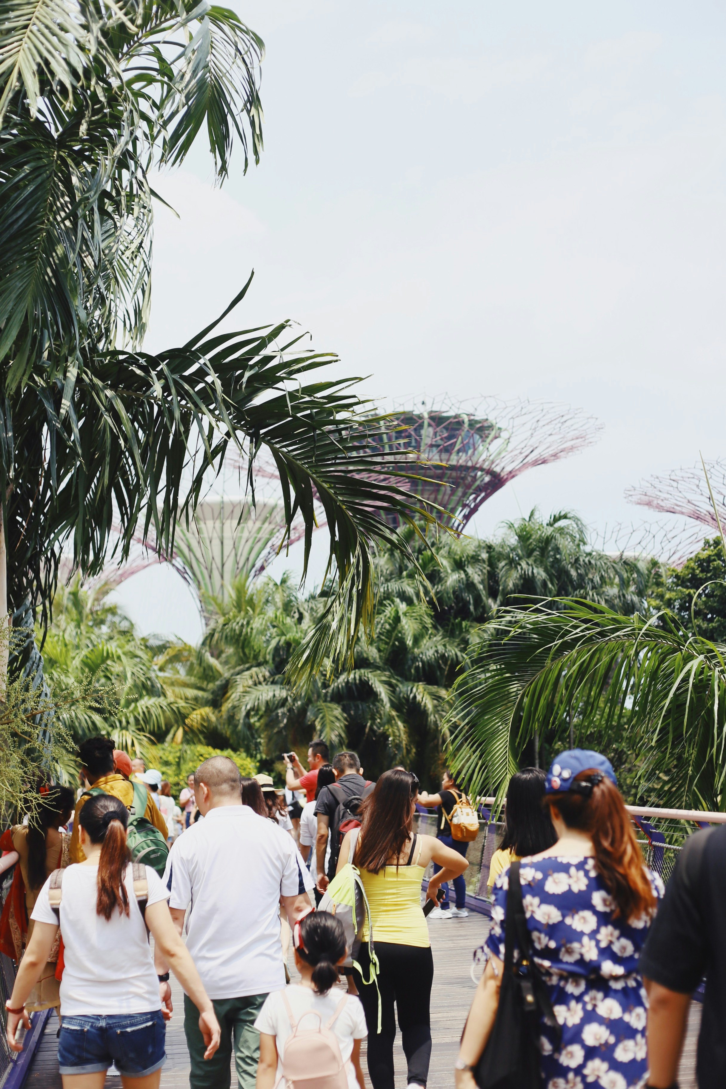 people in a road during daytime